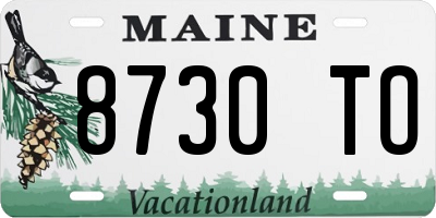 ME license plate 8730TO