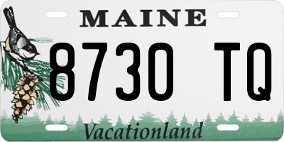 ME license plate 8730TQ