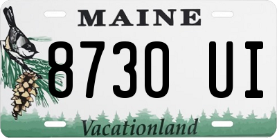 ME license plate 8730UI