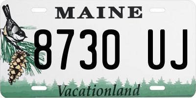 ME license plate 8730UJ