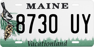 ME license plate 8730UY