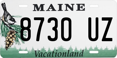 ME license plate 8730UZ