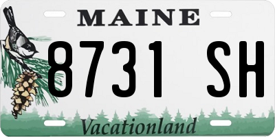 ME license plate 8731SH