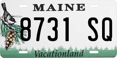 ME license plate 8731SQ