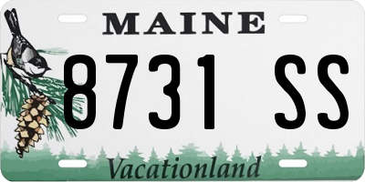 ME license plate 8731SS