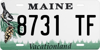 ME license plate 8731TF