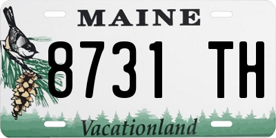 ME license plate 8731TH