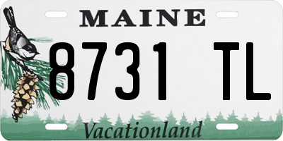 ME license plate 8731TL