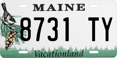ME license plate 8731TY