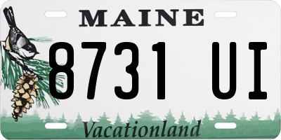 ME license plate 8731UI