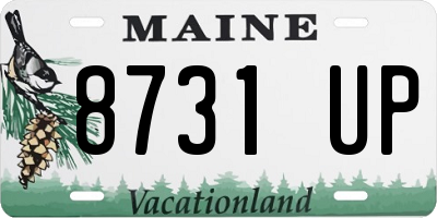 ME license plate 8731UP