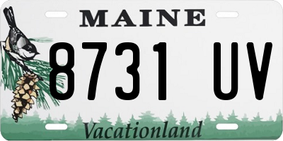 ME license plate 8731UV