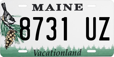 ME license plate 8731UZ