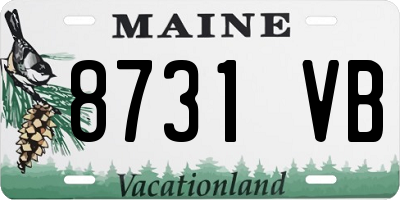 ME license plate 8731VB