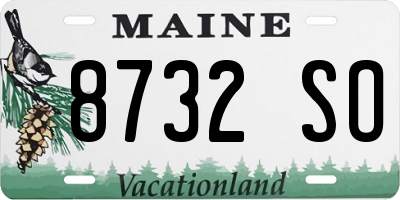 ME license plate 8732SO