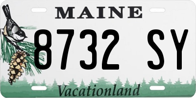 ME license plate 8732SY