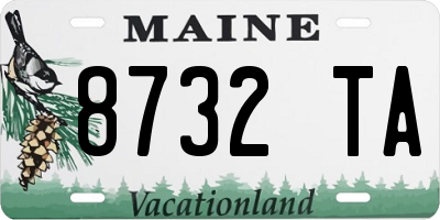 ME license plate 8732TA