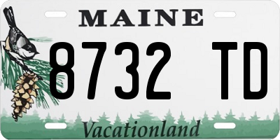 ME license plate 8732TD