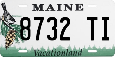 ME license plate 8732TI