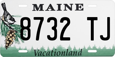 ME license plate 8732TJ