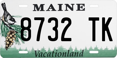 ME license plate 8732TK