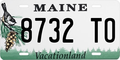 ME license plate 8732TO