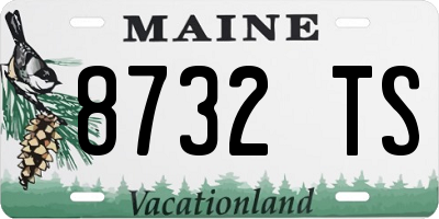 ME license plate 8732TS