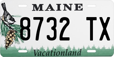 ME license plate 8732TX