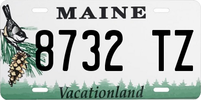 ME license plate 8732TZ