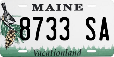 ME license plate 8733SA