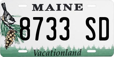 ME license plate 8733SD