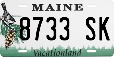 ME license plate 8733SK