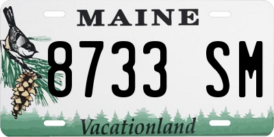 ME license plate 8733SM