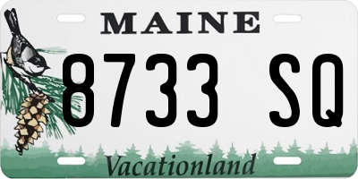 ME license plate 8733SQ