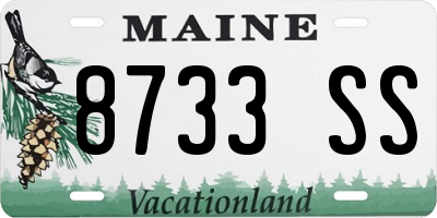 ME license plate 8733SS