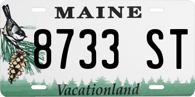 ME license plate 8733ST