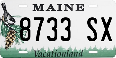 ME license plate 8733SX