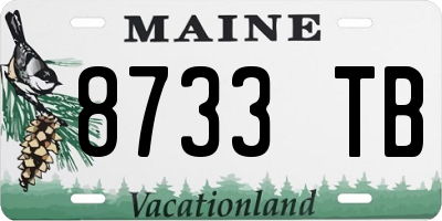 ME license plate 8733TB