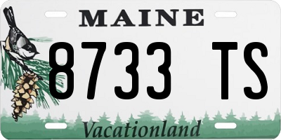 ME license plate 8733TS