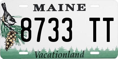 ME license plate 8733TT