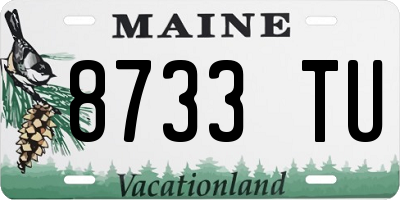 ME license plate 8733TU