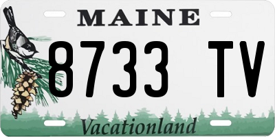 ME license plate 8733TV