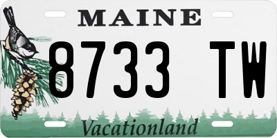 ME license plate 8733TW