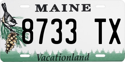 ME license plate 8733TX