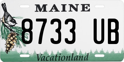 ME license plate 8733UB