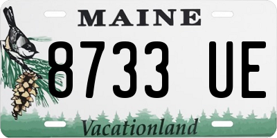 ME license plate 8733UE