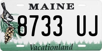 ME license plate 8733UJ