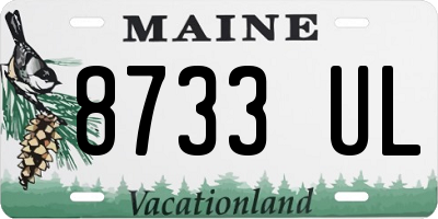 ME license plate 8733UL