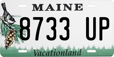 ME license plate 8733UP