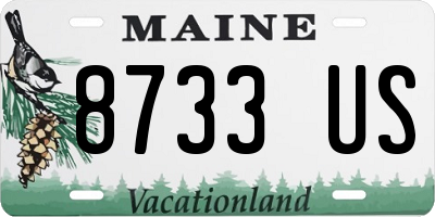 ME license plate 8733US